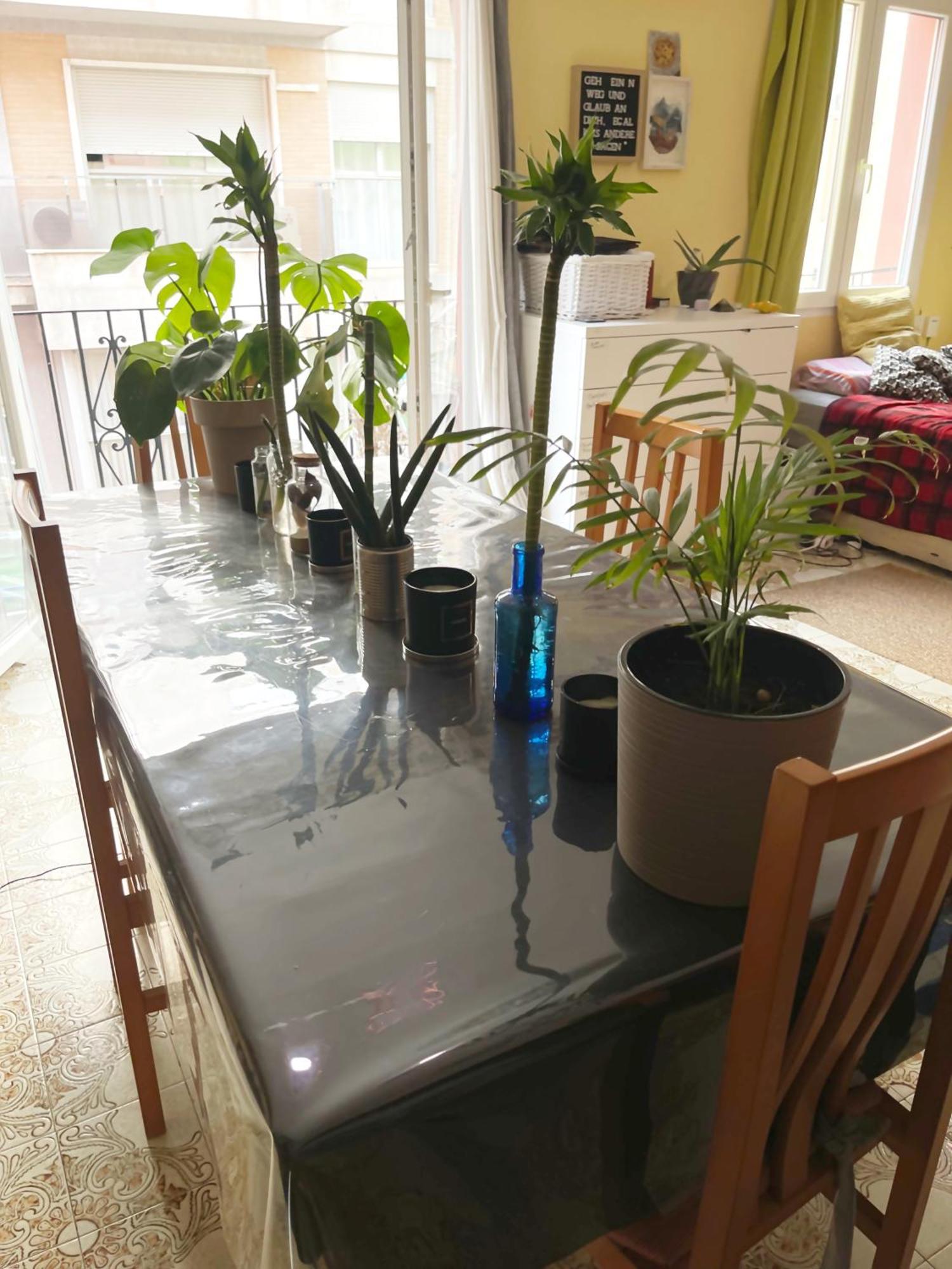 Gemuetliches Zimmer "Gold" Fuer 2 Personen Und Katzenliebhaber Valencia Exterior foto